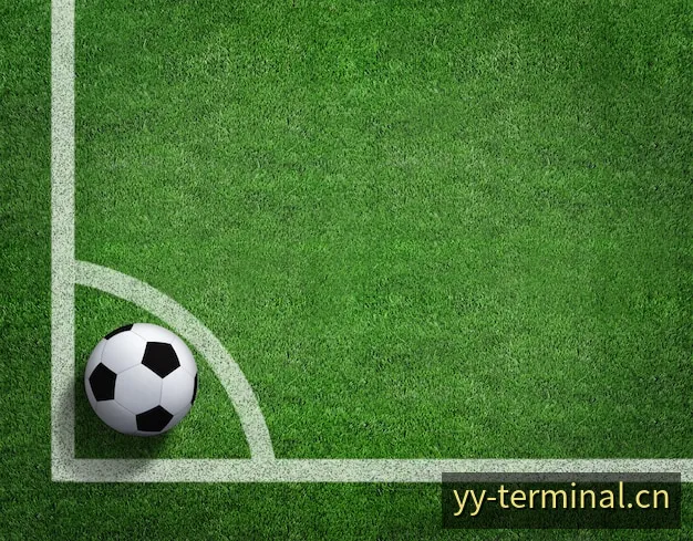 YY极速比分与赛事实况数据控制台